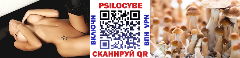 MEGA онион  наркотики  Кандалакша  Галлюциногенные грибы мицелий 
